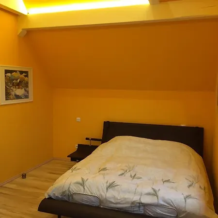 Holiday home L'atelier 4 Stars Luxury, Hot Tub, Pool Nambsheim